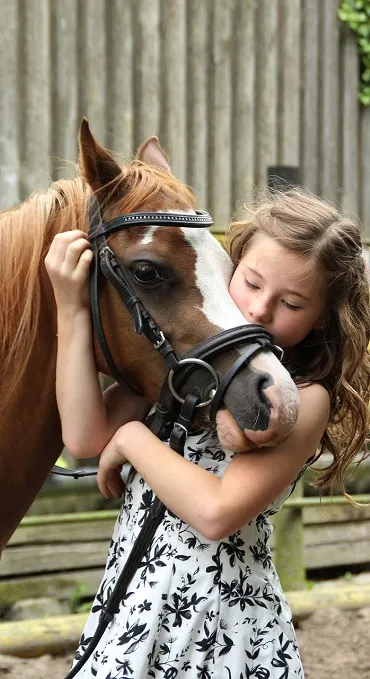 Paard naar de tandarts